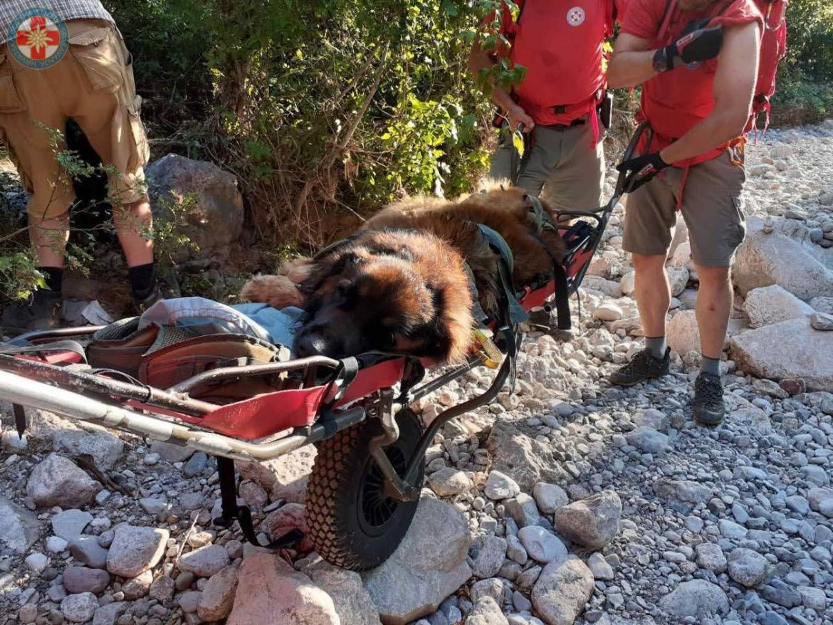 Spašavanje psa u Maloj Paklenici