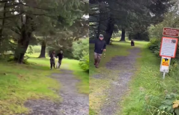 Video: Gladni medvjed lovi ribiče na Aljasci