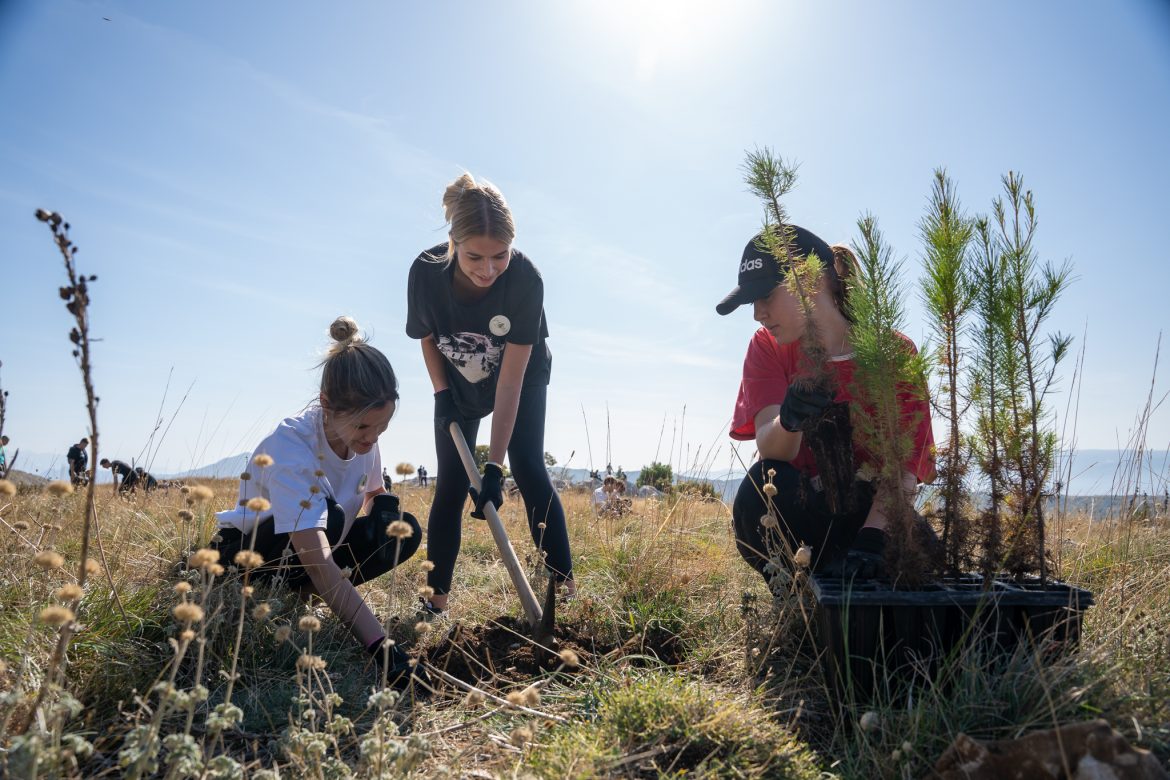 250 volontera Boranke pošumljavalo je Mosor