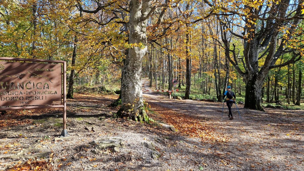 TRANSVERZALA IVANŠČICE 2024